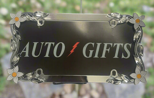 DAISY FLOWER A chrome frame featuring hand painted daisy flowers