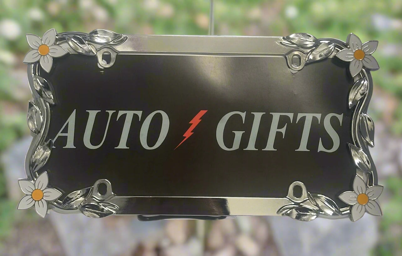 DAISY FLOWER A chrome frame featuring hand painted daisy flowers