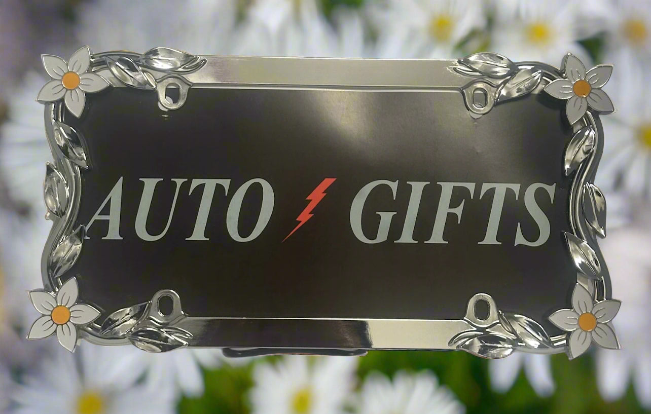 DAISY FLOWER A chrome frame featuring hand painted daisy flowers