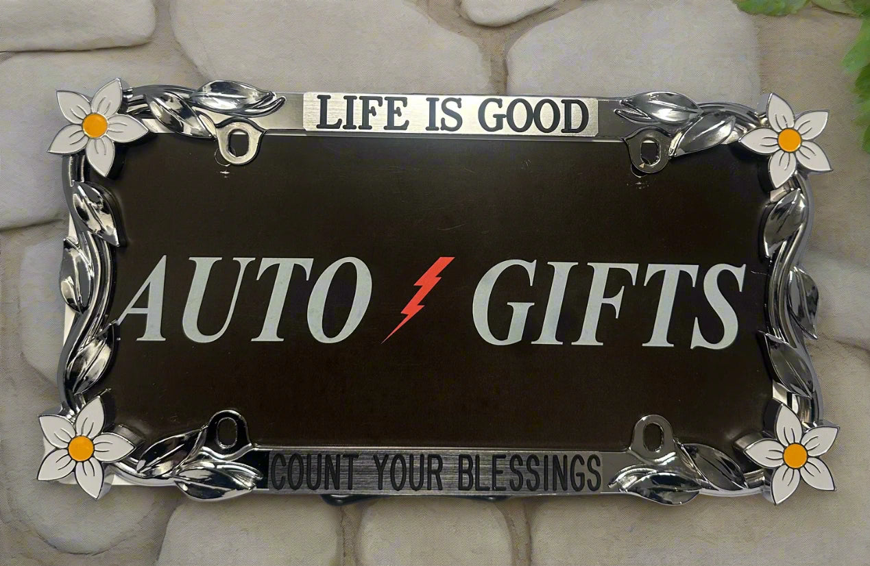 A chrome frame featuring hand painted daisy flowers with life Is Good Count Your Blessings